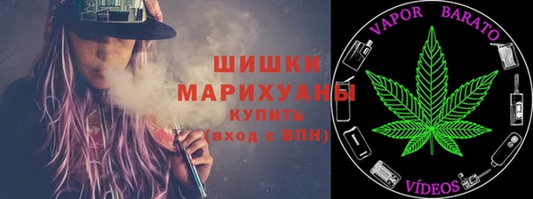 шишки Майский