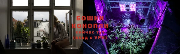 мдпв Магас