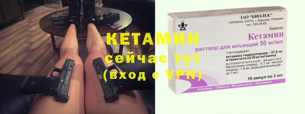 шишки Майский