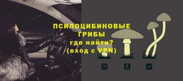 PSILOCYBIN Орск