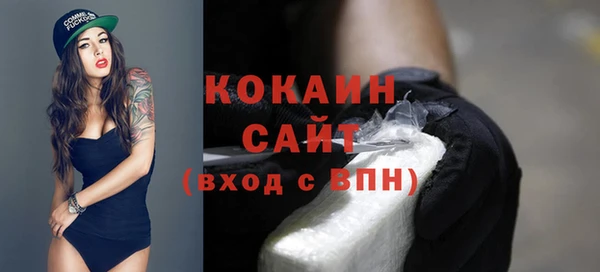 шишки Майский