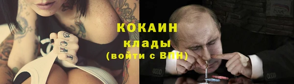 мдпв Магас