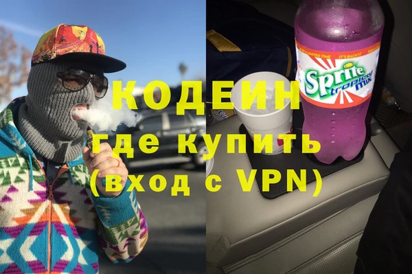 шишки Великий Новгород