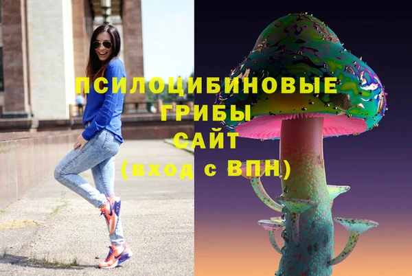 шишки Майский