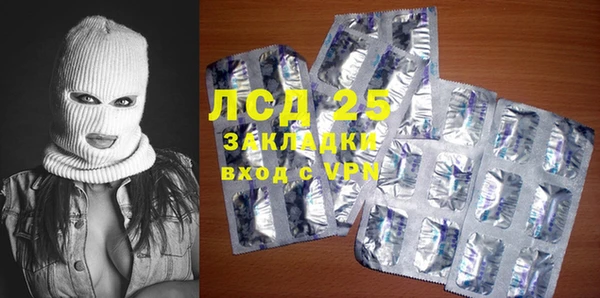 шишки Майский