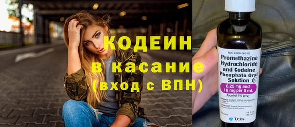 шишки Майский