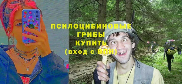 шишки Великий Новгород