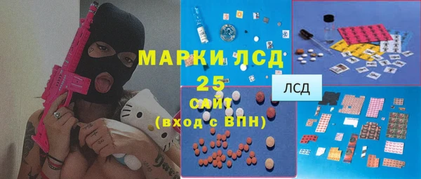 мдпв Магас
