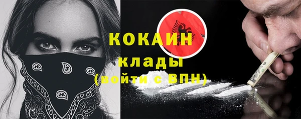 шишки Майский